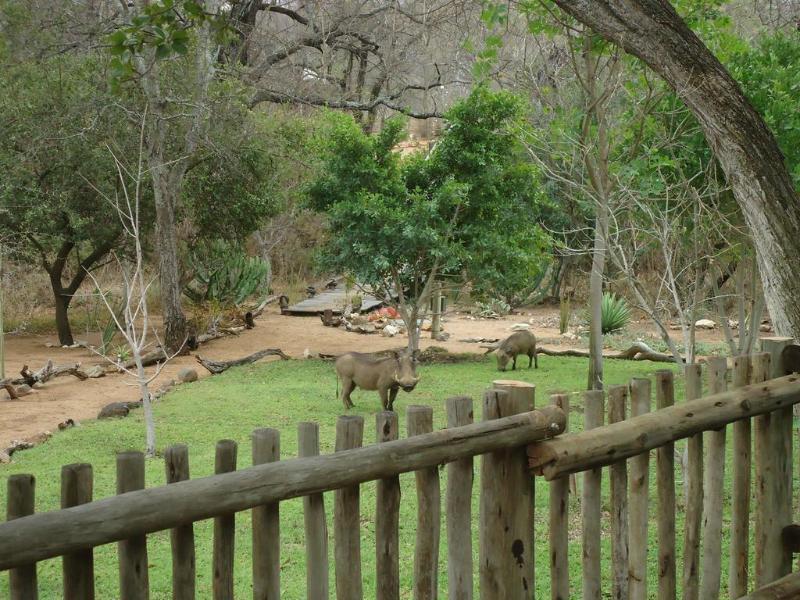 Ku Sungula Safari Lodge Balule Game Reserve Exterior photo