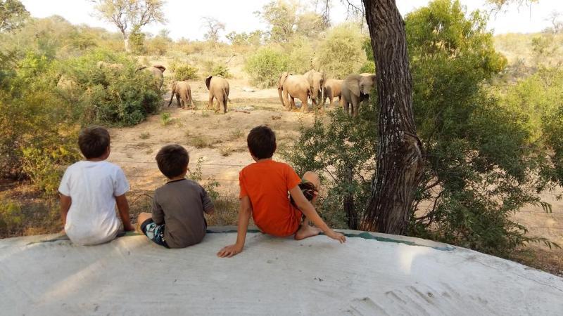 Ku Sungula Safari Lodge Balule Game Reserve Exterior photo