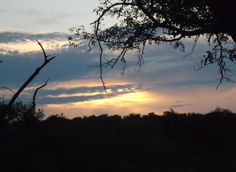 Ku Sungula Safari Lodge Balule Game Reserve Exterior photo