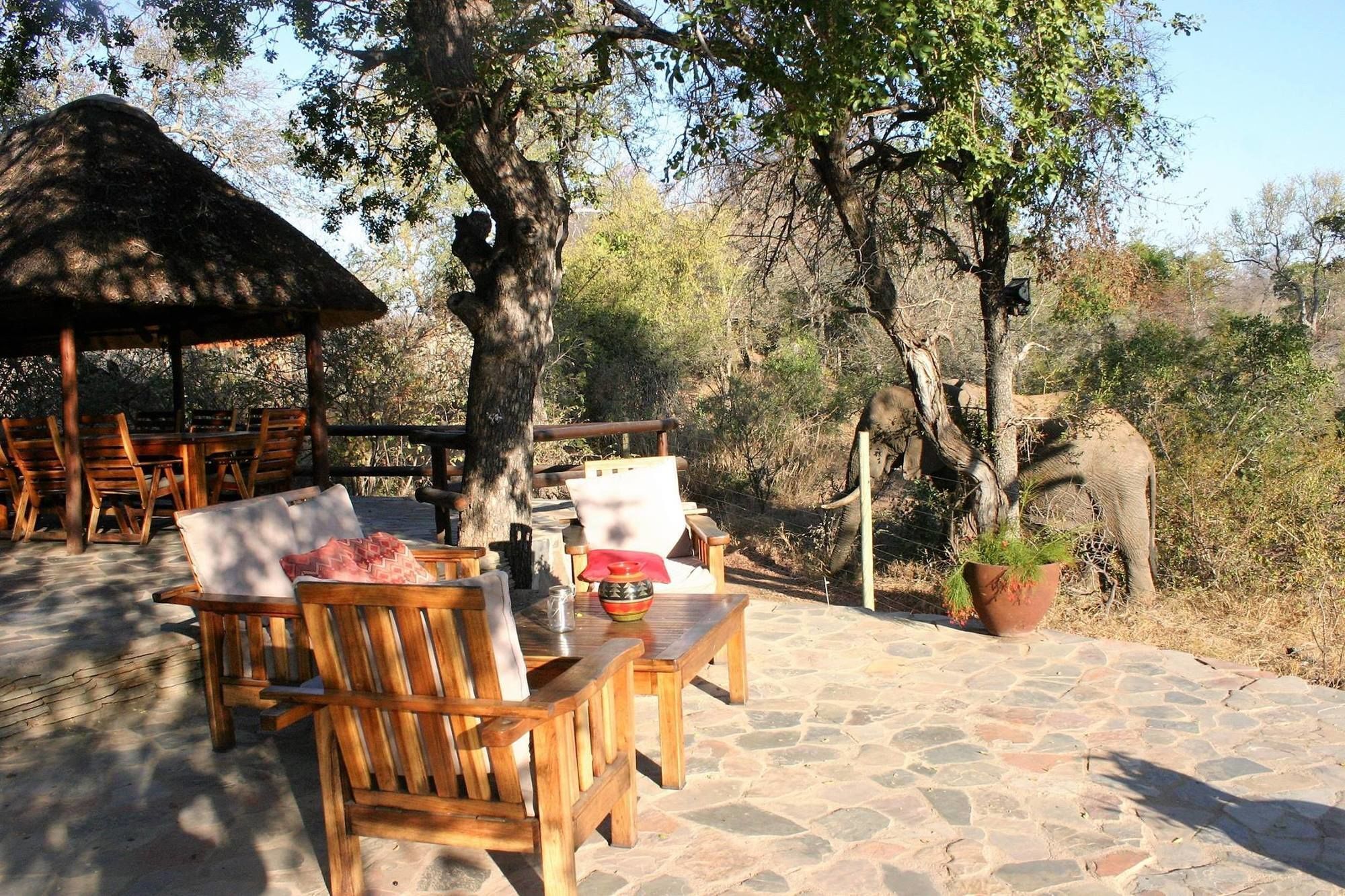 Ku Sungula Safari Lodge Balule Game Reserve Exterior photo